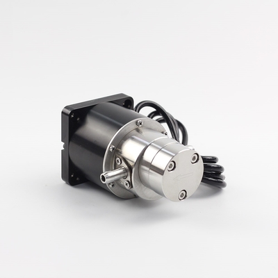 FLOWDRIFT DC Electric Brushless Motor Magnetic Drive Hi-Pressure Stainless Steel Gear Pump KGP-06F