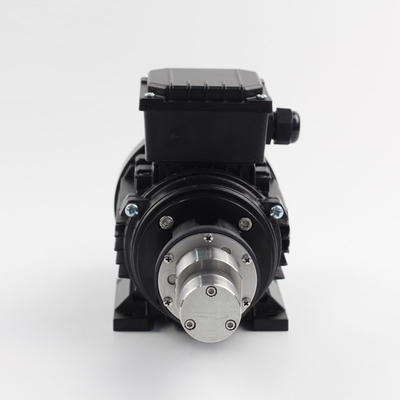 FLOWDRIFT Magnetic Drive Gear Pump KGP-06K 220V 380VAC Asynchronous Motor Stainless Steel 316L Body PEEK Gears PTFE Sealing Food Grade for Beverage Filling Machine Chemical Metering Packing Machine