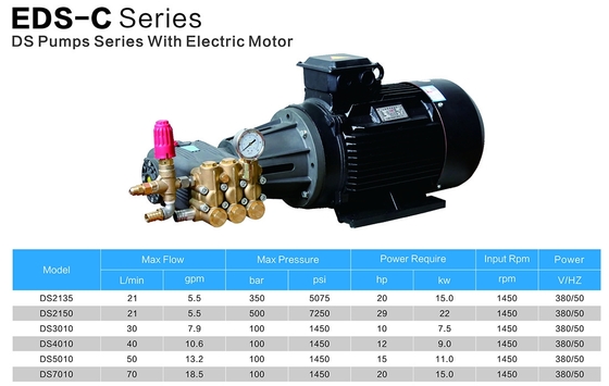 FLOWMONSTER DS series High Pressure Triplex Plunger Pump 12-72LPM 100-500Bar/1450-5075Psi