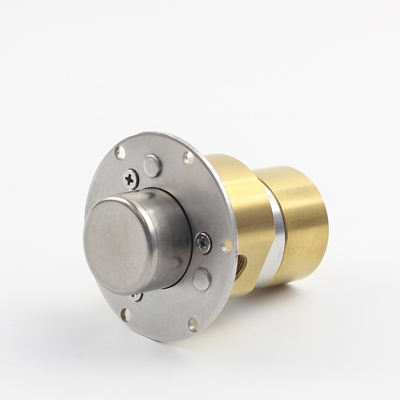FLOWDRIFT Electric Magnetic Drive Stainless Steel Gear Pump G300 YT/YY series