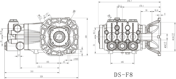 FLOWMONSTER DS series High Pressure Triplex Plunger Pump 12-72LPM 100-500Bar/1450-5075Psi