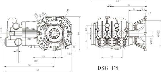 FLOWMONSTER DS series High Pressure Triplex Plunger Pump 12-72LPM 100-500Bar/1450-5075Psi